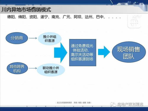 成都藍(lán)光地產(chǎn)觀嶺國際營(yíng)銷方案報(bào)告